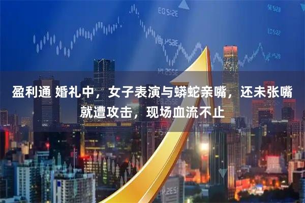 盈利通 婚礼中，女子表演与蟒蛇亲嘴，还未张嘴就遭攻击，现场血流不止