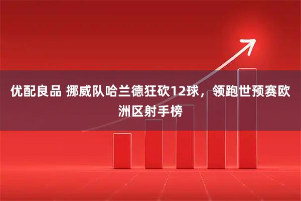 优配良品 挪威队哈兰德狂砍12球，领跑世预赛欧洲区射手榜
