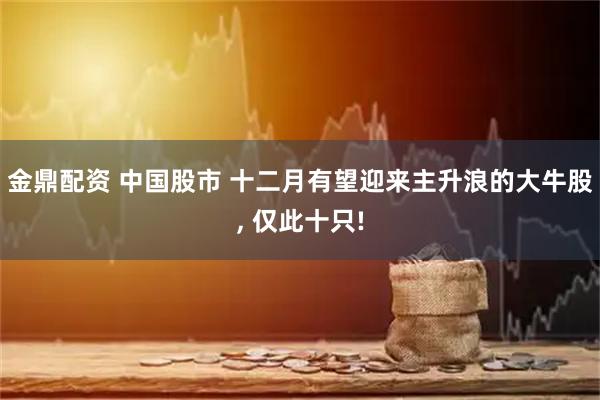 金鼎配资 中国股市 十二月有望迎来主升浪的大牛股, 仅此十只!