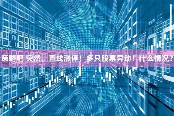 策略吧 突然，直线涨停！多只股票异动！什么情况？